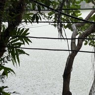 Mesook Farm (มีสุข ฟาร์ม)