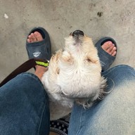 Mesook Farm (มีสุข ฟาร์ม)