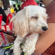 Mesook Farm (มีสุข ฟาร์ม)