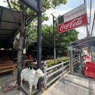 โคขุนคุณทอง โพนยางคำ นวลจันทร์ 21