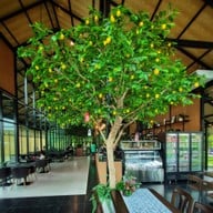 บรรยากาศ ฮักเขา คอฟฟีคาเฟ่ - Hugkhao coffee cafe