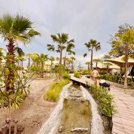 Camp Cayla - Costa
