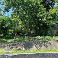 สวนสัตว์เปิดเขาเขียว (เขาเขียวไนท์ซาฟารี)