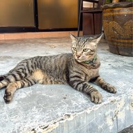 2019 สองพันสิบเก้า