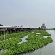 สุ่มปลายักษ์ วัดทองประดิษฐ์ จ.สุพรรณบุรี