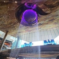 ลูกไก่ทอง ไอคอนสยาม