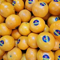 เมนูของร้าน น้องข้าวหอม ผลไม้ตามฤดูกาล