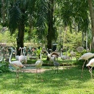 สวนสัตว์เปิดเขาเขียว (เขาเขียวไนท์ซาฟารี)
