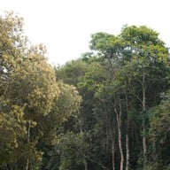 บรรยากาศ อุทยานแห่งชาติขุนน่าน