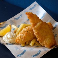 แมวตกปลา -