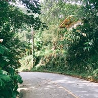 ชมนกชมไม้