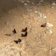 สายธารแห่งรักรีสอร์ท