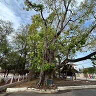 วัดจอมสวรรค์