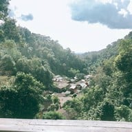 ชมนกชมไม้