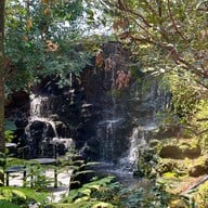 Harudot By Nana Coffee roasters Chonburi