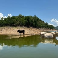 สายธารแห่งรักรีสอร์ท