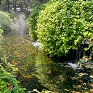 Harudot By Nana Coffee roasters Chonburi