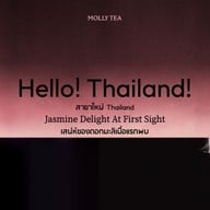 Molly Tea สยามสแควร์