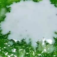 . สามพราน