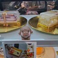 ❤️🎂Bake A Wish - เค้กวันเกิด ขนมหวาน เบเกอรี่ เซ็นทรัลลาดพร้าว ร้านเค้กวันเกิด ขนมหวาน เบเกอรี่ เซ็นทรัลลาดพร้าว
