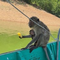 สายธารแห่งรักรีสอร์ท