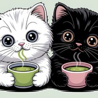 Matcha Neko มัทฉะเนโกะ