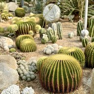 บรรยากาศ Botanist activity space & cafe