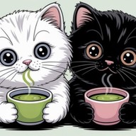 Matcha Neko มัทฉะเนโกะ