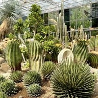 บรรยากาศ Botanist activity space & cafe