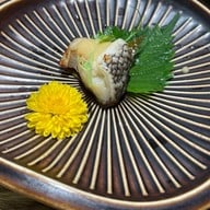 Kabocha Sushi The Nine Rama 9