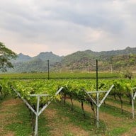 GranMonte Vineyard and Winery เขาใหญ่