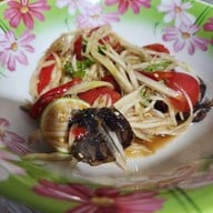 ส้มตำ ยำสด