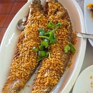 บ้านต้นไทร อยุธยา