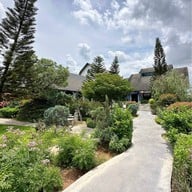 ลูกไก่ เขาใหญ่