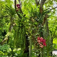 บรรยากาศ 10cc Coffee & Co. 10cc Coffee & Co.