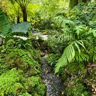 บรรยากาศ 10cc Coffee & Co. 10cc Coffee & Co.