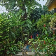 บรรยากาศ green moon cafe & bistro
