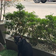 MergeMerry เชียงราย