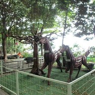 บรรยากาศ วัดจากแดง