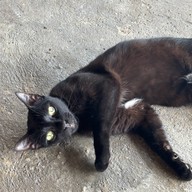 MergeMerry เชียงราย