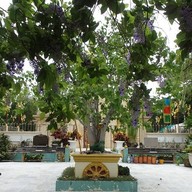 บรรยากาศ วัดจากแดง