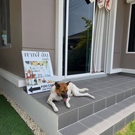 FOO Cafe Chiang Mai @ราชบุรี-เขางู