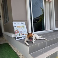 FOO Cafe Chiang Mai @ราชบุรี-เขางู