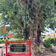 วัดพลับพลาชัย เพชรบุรี