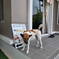 FOO Cafe Chiang Mai @ราชบุรี-เขางู