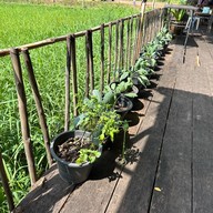 บรรยากาศ คานา