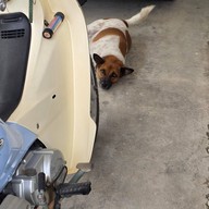 FOO Cafe Chiang Mai @ราชบุรี-เขางู