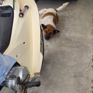 FOO Cafe Chiang Mai @ราชบุรี-เขางู