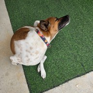 FOO Cafe Chiang Mai @ราชบุรี-เขางู