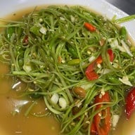 เหมยหมึกเป็นซาชิมิ ทวีวัฒนา
